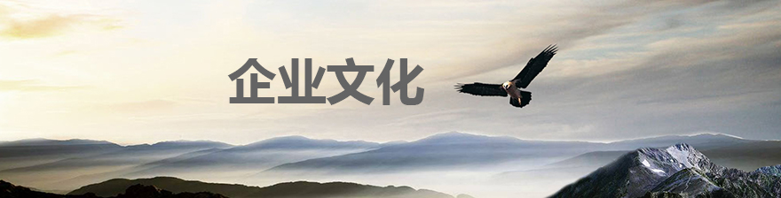 企业.jpg